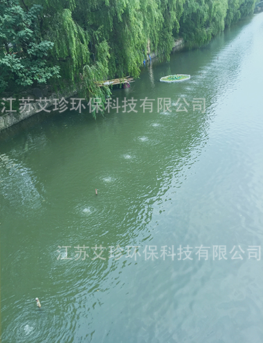 增氧曝氣工程