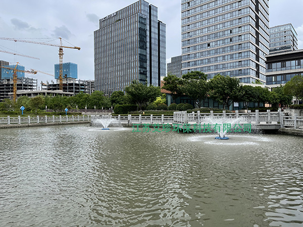 市政黑臭河道高效治理方案沉水風(fēng)機(jī)噴泉曝氣機(jī).jpg