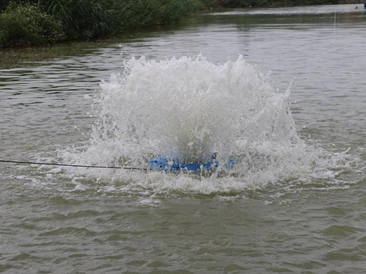 涌泉式噴泉曝氣機(jī)在河道治理.jpg