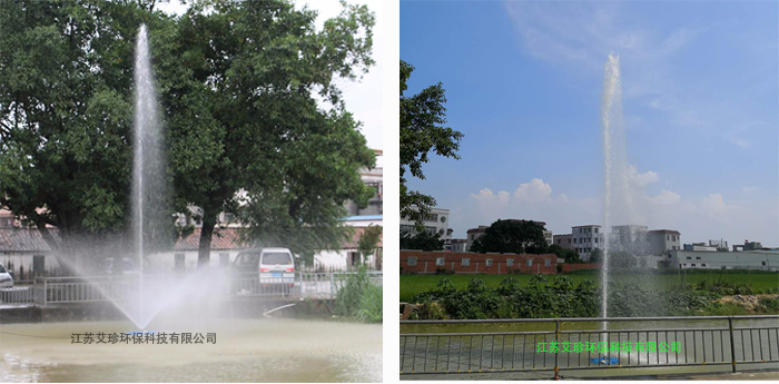 中心水柱噴泉曝氣機(jī)高噴式帶喇叭花提水式噴泉.jpg