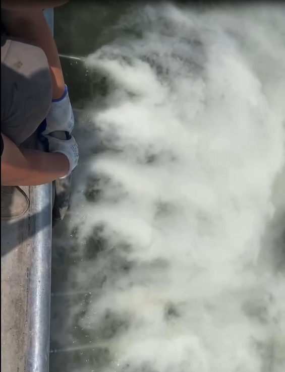 微納米氣泡發(fā)生增氧設(shè)備河道治理.png