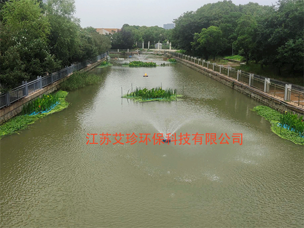 曝氣增氧機助力河道水生態(tài)煥發(fā)生機.jpg