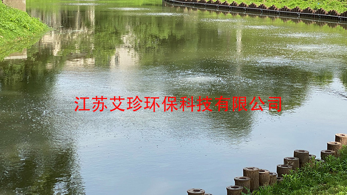 河道治理新利器：河道用微納米曝氣系統(tǒng)背后的“氧”生廠家.jpg