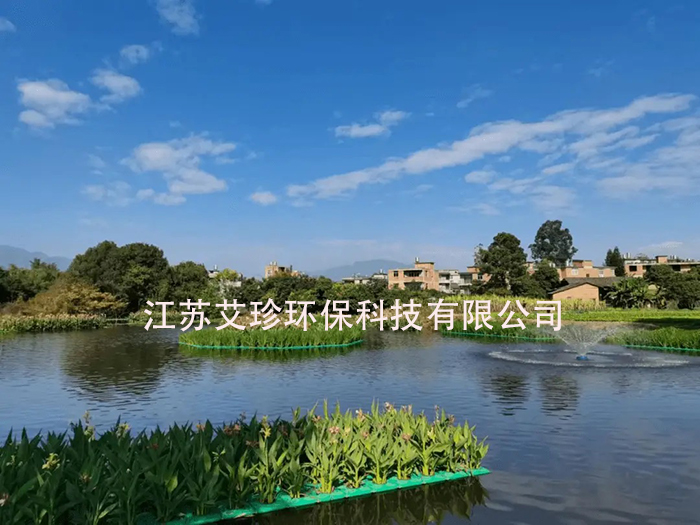 河道治理新招：多樣增氧，讓水體重?zé)ㄉ鷻C(jī).jpg