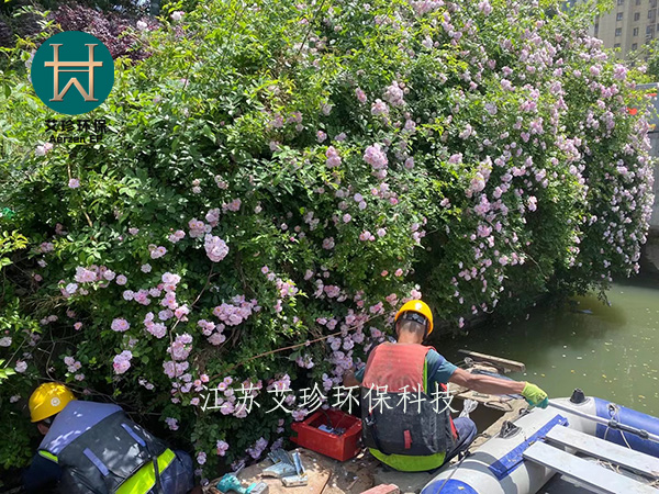 江蘇艾珍沉水風機河道治理曝氣